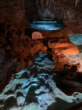 おきなわワールドに投稿された画像（2023/10/12）