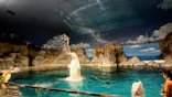 名古屋港水族館に投稿された画像（2023/10/12）