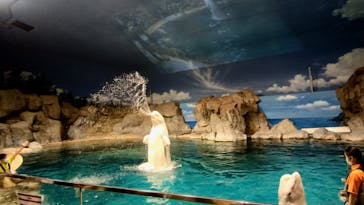 名古屋港水族館に投稿された画像（2023/10/12）