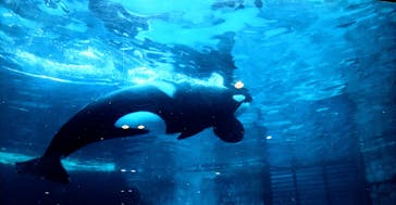 名古屋港水族館に投稿された画像（2023/10/12）