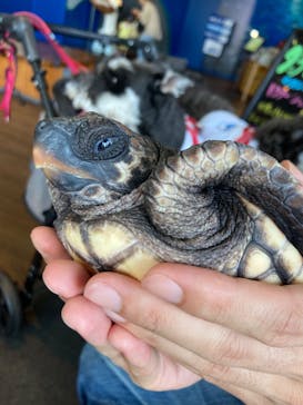 串本海中公園水族館に投稿された画像（2023/10/12）