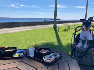 串本海中公園水族館に投稿された画像（2023/10/12）