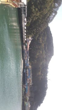 下田海中水族館に投稿された画像（2023/10/12）