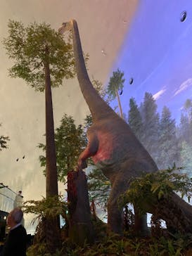 福井県立恐竜博物館に投稿された画像（2023/10/12）