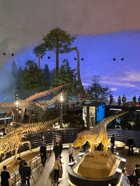 福井県立恐竜博物館に投稿された画像（2023/10/12）