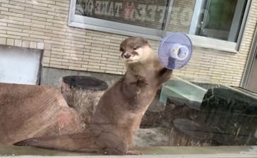 下田海中水族館に投稿された画像（2023/10/13）