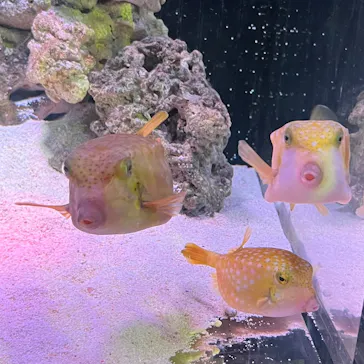 マクセル アクアパーク品川に投稿された画像（2023/10/13）