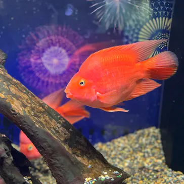 マクセル アクアパーク品川に投稿された画像（2023/10/13）