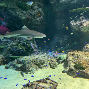 マクセル アクアパーク品川に投稿された画像（2023/10/13）