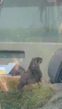 サンシャイン水族館に投稿された画像（2023/10/13）