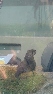 サンシャイン水族館に投稿された画像（2023/10/13）