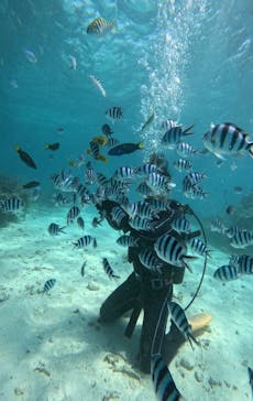 青の洞窟専門店　沖縄ダイビングショップ和に投稿された画像（2023/10/13）