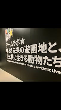 チームラボに投稿された画像（2023/10/13）