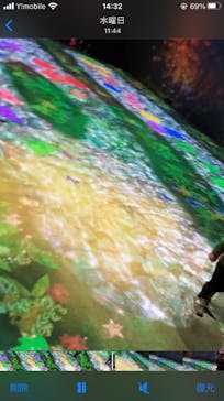 チームラボに投稿された画像（2023/10/13）