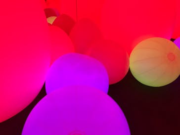 チームラボに投稿された画像（2023/10/13）