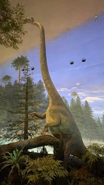 福井県立恐竜博物館に投稿された画像（2023/10/13）