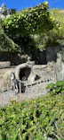 サンシャイン水族館に投稿された画像（2023/10/13）