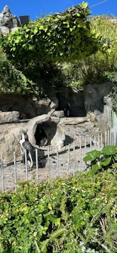 サンシャイン水族館に投稿された画像（2023/10/13）