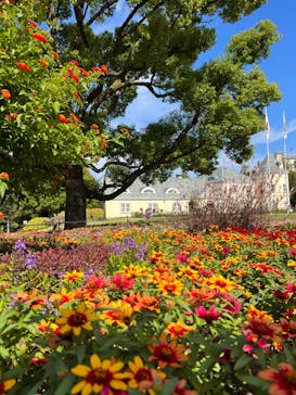 安城産業文化公園デンパークに投稿された画像（2023/10/13）