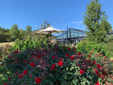 いばらきフラワーパークに投稿された画像（2023/10/13）