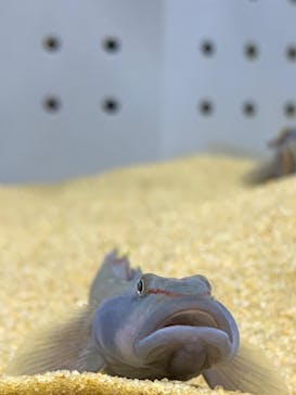 AOAO SAPPOROに投稿された画像（2023/10/13）