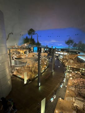 福井県立恐竜博物館に投稿された画像（2023/10/13）