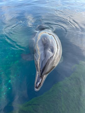 京都水族館に投稿された画像（2023/10/13）