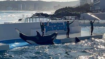 鴨川シーワールドに投稿された画像（2023/10/13）