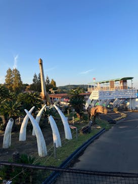 伊豆ぐらんぱる公園に投稿された画像（2023/10/13）