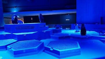 AOAO SAPPOROに投稿された画像（2023/10/13）