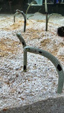 AOAO SAPPOROに投稿された画像（2023/10/13）