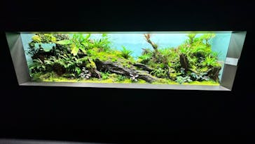 AOAO SAPPOROに投稿された画像（2023/10/13）