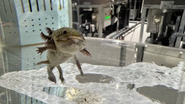 AOAO SAPPOROに投稿された画像（2023/10/13）