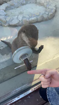 横浜・八景島シーパラダイスに投稿された画像（2023/10/13）