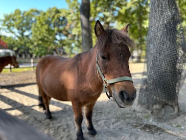 ノーザンホースパークに投稿された画像（2023/10/13）