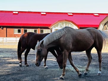 ノーザンホースパークに投稿された画像（2023/10/13）