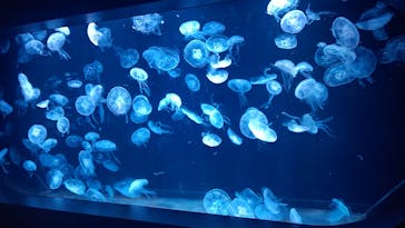 AOAO SAPPOROに投稿された画像（2023/10/13）