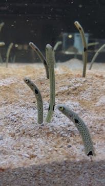 AOAO SAPPOROに投稿された画像（2023/10/13）