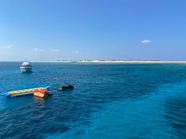 マリンクラブ ベリー 那覇店に投稿された画像（2023/10/13）
