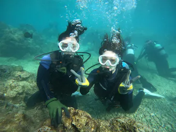 武藤潜水に投稿された画像（2023/10/14）