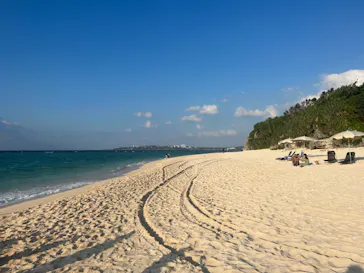 武藤潜水に投稿された画像（2023/10/14）