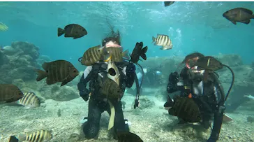 武藤潜水に投稿された画像（2023/10/14）