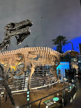 福井県立恐竜博物館に投稿された画像（2023/10/14）