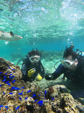 武藤潜水に投稿された画像（2023/10/14）