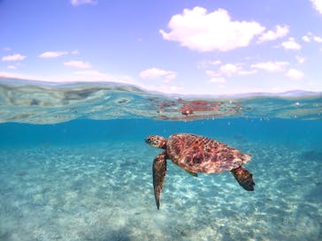 CHAMP TOUR　宮古島に投稿された画像（2023/10/14）