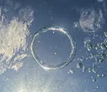 武藤潜水に投稿された画像（2023/10/14）