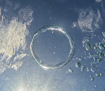 武藤潜水に投稿された画像（2023/10/14）