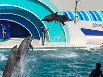 鴨川シーワールドに投稿された画像（2023/10/14）