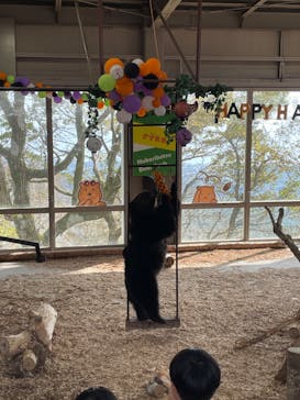 のぼりべつクマ牧場に投稿された画像（2023/10/14）