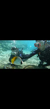 武藤潜水に投稿された画像（2023/10/14）